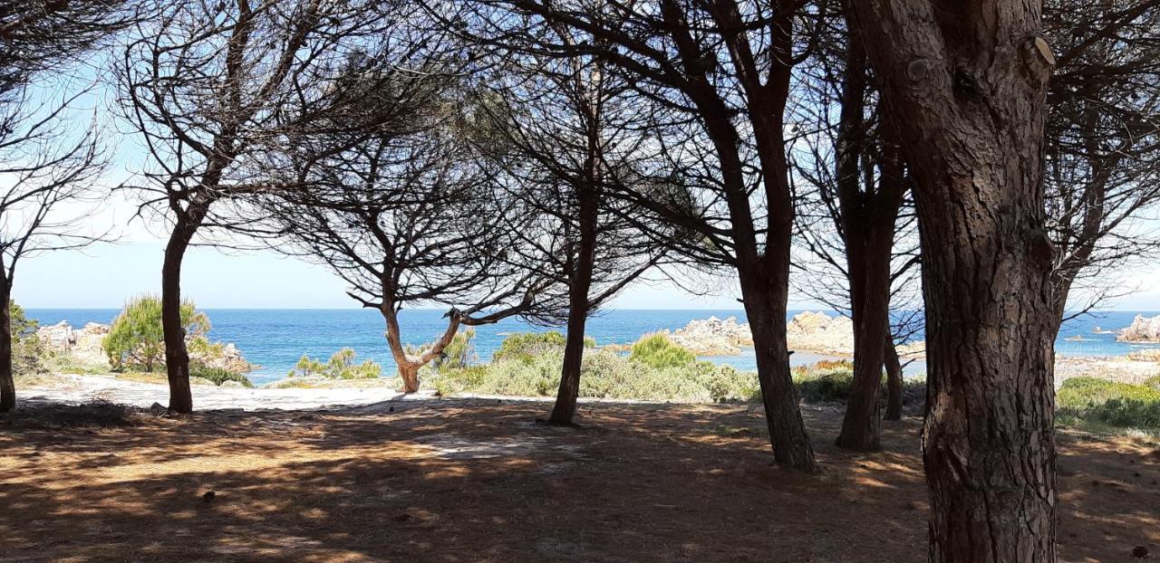 Mare Natura Confort... Il Mio Paradiso In Sardegna Isola Rossa Exterior foto